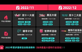 卖家故事｜TikTok Shop东南亚六行业11.11大促成功案例解读，GMV最高增长500%