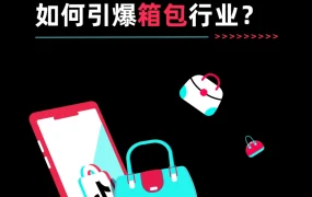 运营指导｜TikTok Shop箱包短视频营销指南：3天从0爆单方法论