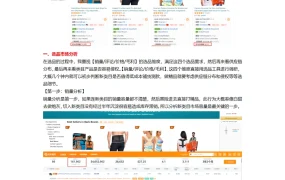 30天切入新类目亚马逊新品推广速效打法-7页