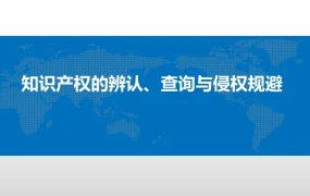 跨境电商知识产权辨认、查询与侵权规避指南-74页