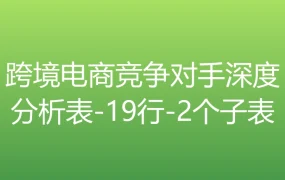 跨境电商竞争对手深度分析表-19行-2个子表