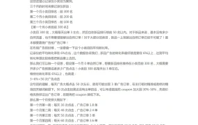 花四个月让新品自然订单大于广告订单-4页