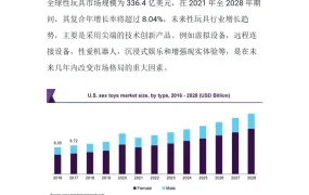 2025年全球情趣用品市场趋势与跨境电商选品策略-12页