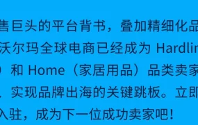 市场趋势｜沃尔玛2025年Hardlines＆Home品类选品指南 新卖家3个月破百万美元