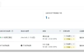 WordPress数据盘挂载配置完整指南:解决网站存储空间不足问题
