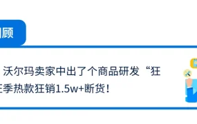 卖家故事｜前大厂IT员工转战沃尔玛电商 一年半跻身玩具TOP卖家 11月销售额增【1200%】