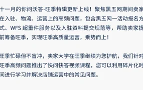 运营指导｜沃尔玛旺季高频问题解答：Pro Listing与CAP计划互斥，超重件退货需预约上门