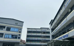 卖家故事｜0经验跨界亚马逊年销【8000万】