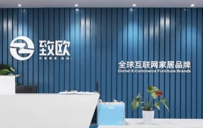 卖家故事｜致欧科技品牌出海增长【60亿】