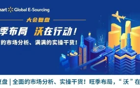 卖家故事｜沃尔玛三大卖家旺季单量翻【20倍】实战分享 备货需2-3倍