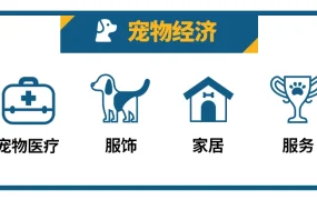 卖家故事｜宠物用品卖家Jenny入驻沃尔玛3个月销售额增长【300%】分享工具使用心得