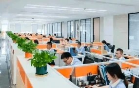 卖家故事｜中翔集团 茶叶出口日销【2000+】单退货率近0