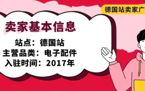 卖家故事｜eBay德国站电子配件卖家借助PLP广告实现销量增长【40%】ROAS达【10】