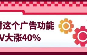 卖家故事｜eBay船舶卖家Waveflo Marine用推荐广告活动实现年GMV增长【40%】ROAS达18