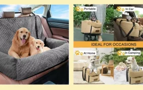 市场趋势｜宠物汽车用品全球市场达【10.3亿美元】2031年预计【15.3亿】eBay平台选品指南