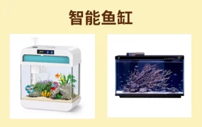 市场趋势｜eBay宠物用品Q1增长显著 智能设备需求旺盛 美国年花费1369亿美元