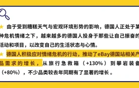 市场趋势｜eBay德国站反emo品类销量暴涨【650%】压力锅攀岩设备成热门
