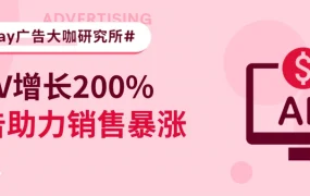卖家故事｜eBay卖家使用PLA广告实现GMV增长【200%】ROAS保持9+水平