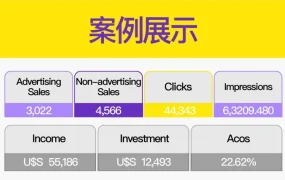 运营指导｜Mercado Libre广告投放全攻略：从指标解读到策略实施