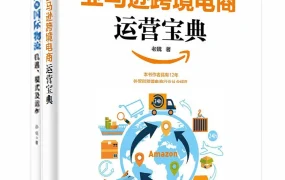 跨境电商与国际物流：机遇、模式及运作-821页