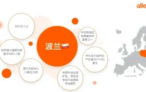 市场趋势｜波兰电商2027年将达【1870亿兹罗提】 Allegro占【75%】市场份额