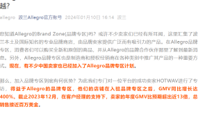 卖家故事｜HOTWAV借力Allegro品牌专区GMV增长【400%】年销近百万美金