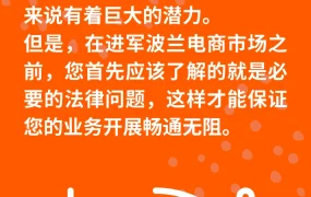政策规则｜⚠️中危！波兰电商市场法律合规要求详解 涉及公司注册与税务问题