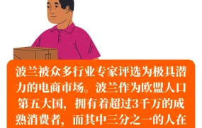 市场趋势｜波兰电商年增速【12%】至2026年 Allegro占【80%】市场份额