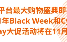 官方活动｜Allegro 2021年Black Week大促11月22日启动 去年卖家销量增【250-300%】