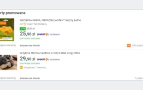 服务动态｜Allegro推出三种促销工具 费用低至2.9波兰币/天 提升曝光【300%】