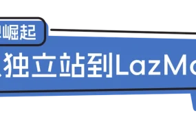 卖家故事｜AMIRO家用美容仪半年创百万营收 Lazada新商成长计划助力业绩增【40%】