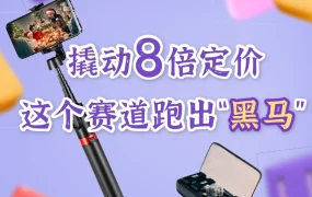 卖家故事｜SmallRig手机支架撬动8倍定价 BOYA麦克风GMV翻倍 东南亚直播经济爆发