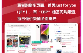 运营指导｜Lazada双12快消品热卖案例：Try and buy增粉65%+ 早鸟价动销率100%