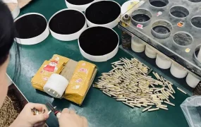 卖家故事｜浙江化妆刷厂借力Lazada全托管 3个月日销破千单 9.9大促2天爆卖1万+