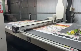 卖家故事｜Lazada全托管助力地毯卖家月销破10万单 双11目标日销20万