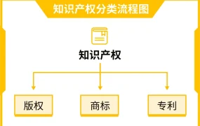 卖家故事｜yolopark借变形金刚IP授权3个月日入破万 泰国菲律宾站10.10大促单量增14倍