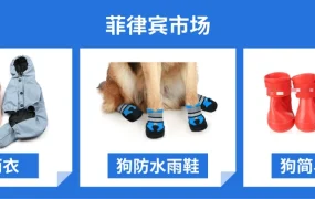 市场趋势｜Shopee东南亚雨季选品指南 家电雨具宠物需求激增