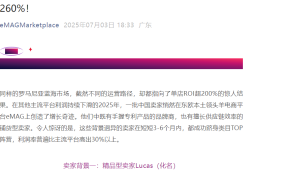 卖家故事｜eMAG罗马尼亚蓝海市场双引擎策略 3个月GMV狂飙【260%】ROI超【200%】