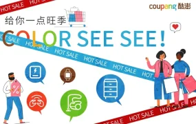 市场趋势｜Coupang 2024年旺季5大爆款数据分析 磁吸充电宝日销超1000台