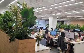 卖家故事｜Coupang火箭仓首批卖家实现入仓即出单 分享韩国蓝海市场运营经验