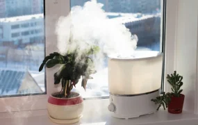 福利信息｜Coupang冬季选品大促三重福利 销售佣金9折+10元运费减免 11月15日启动