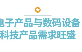 市场趋势｜非洲二月消费洞察：电子产品增长强劲，智能手机与笔记本电脑需求旺盛