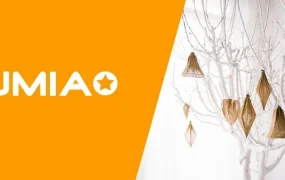 市场趋势｜非洲家居装饰需求井喷 Jumia平台销量增长【45%】热卖品类盘点