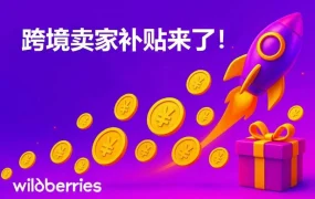 福利信息｜Wildberries跨境卖家补贴机制上线 平台承担最高【10%】折扣