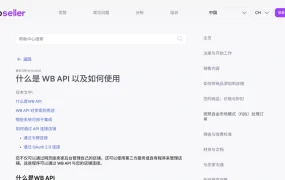 服务动态｜Wildberries全新推出API指南教程 助店铺运营效率提升