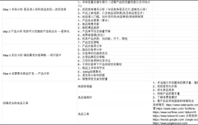 亚马逊爆款选品分析指南2025-28行-1个子表