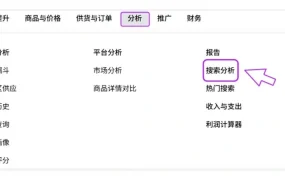 服务动态｜Wildberries全新上线搜索分析报告功能 免费开放所有卖家