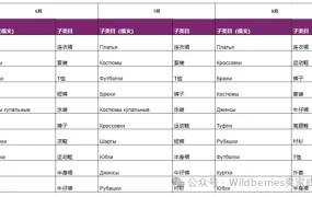 官方活动｜Wildberries定向招商Fashion与3C类目 俄罗斯夏季销售新机遇