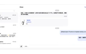 服务动态｜Wildberries开放买家聊天室功能 实时沟通提升订单转化