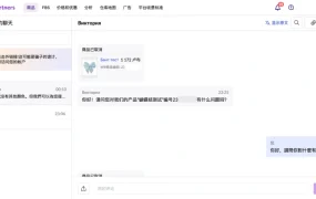 服务动态｜Wildberries买家聊天功能上线 内置AI翻译支持中俄互译